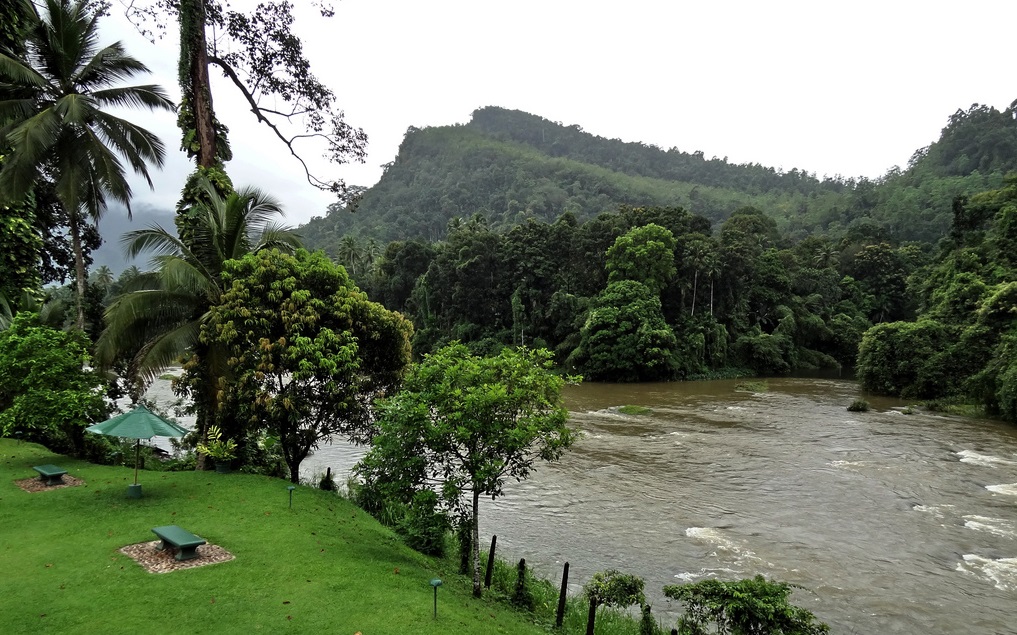 Makandawa Forest Reserve