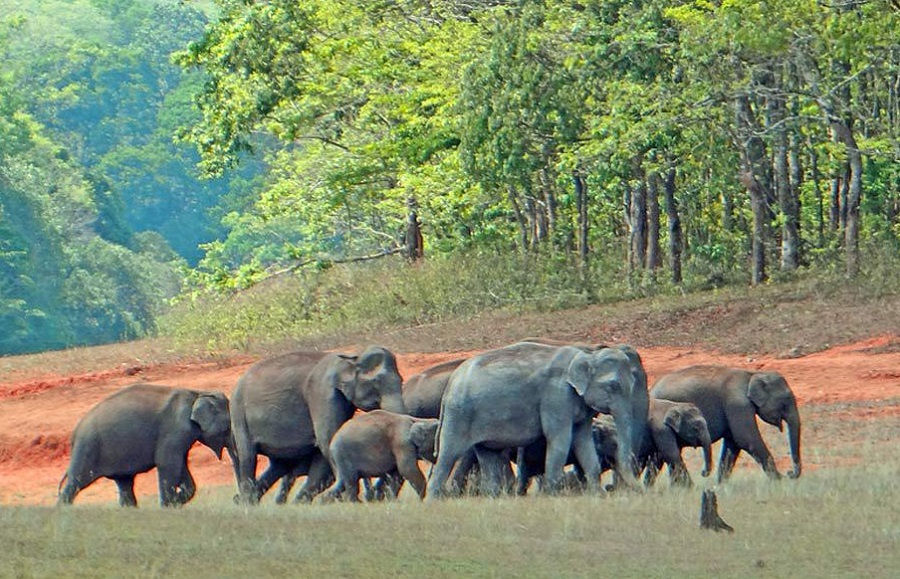 Nаtіоnаl раrkѕ in Sri Lanka