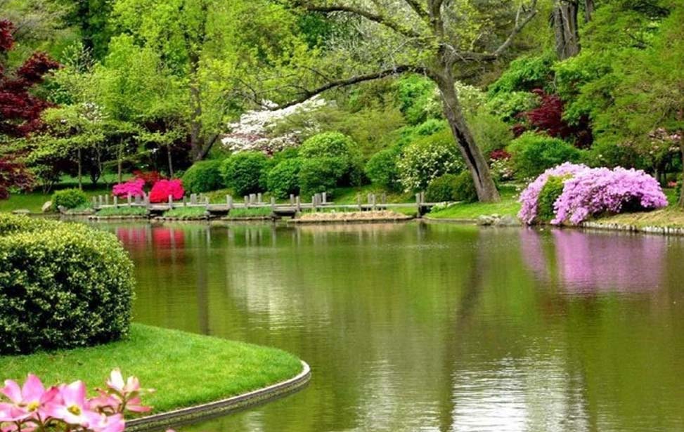 Royal Botanical Gardens, Peradeniya