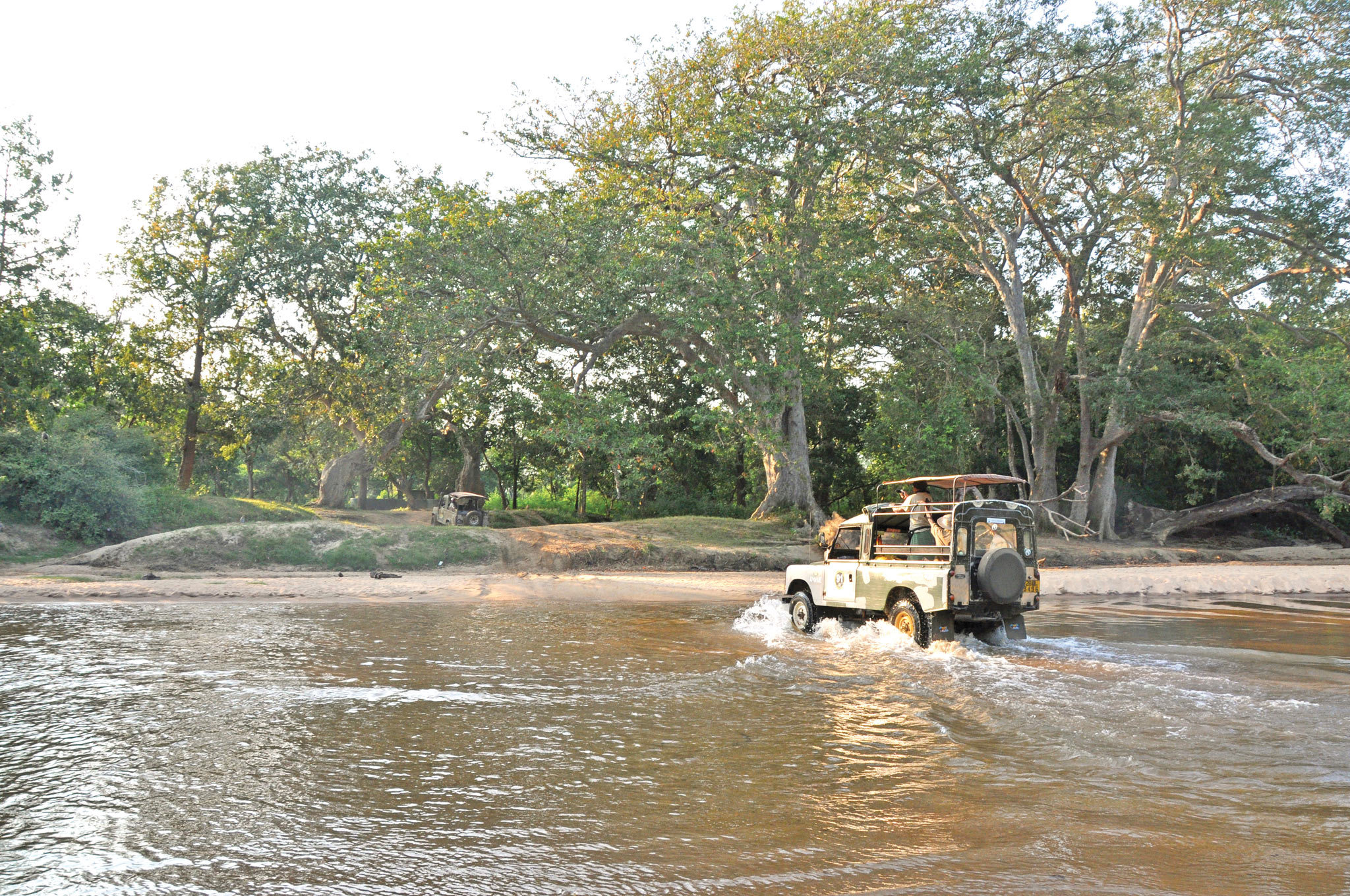 Wildlife Safaris in Sri Lanka