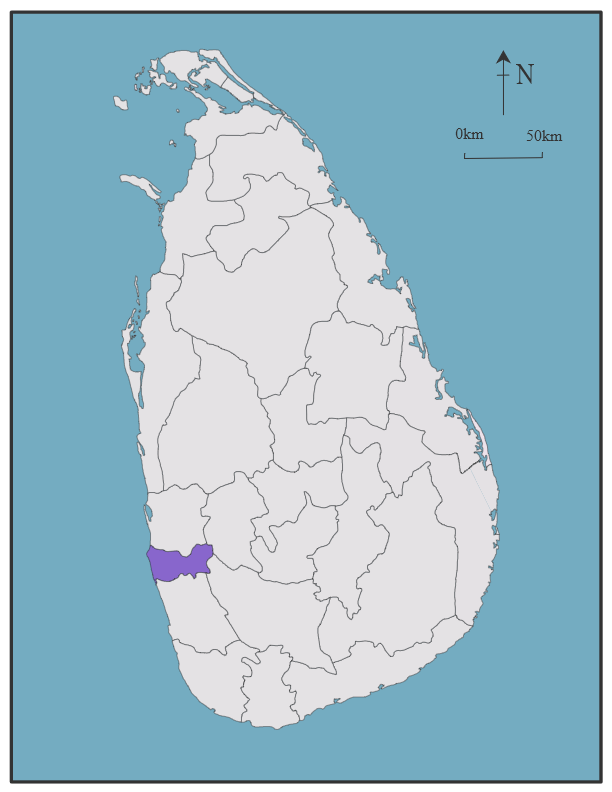 Colombo District