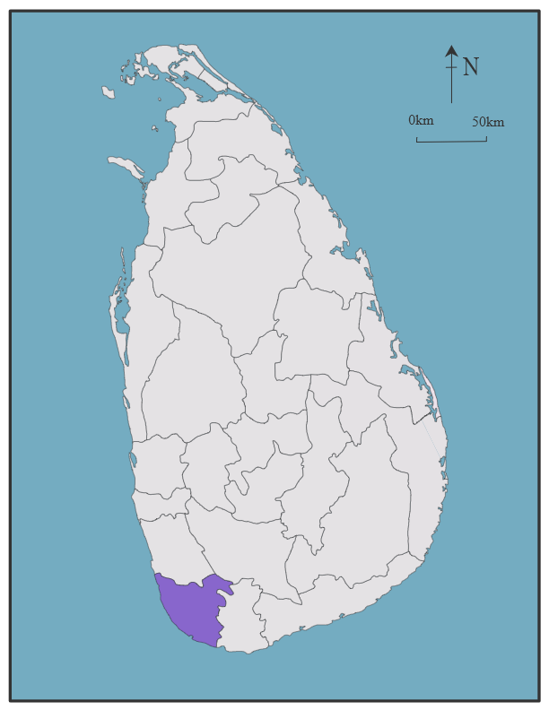 Galle district